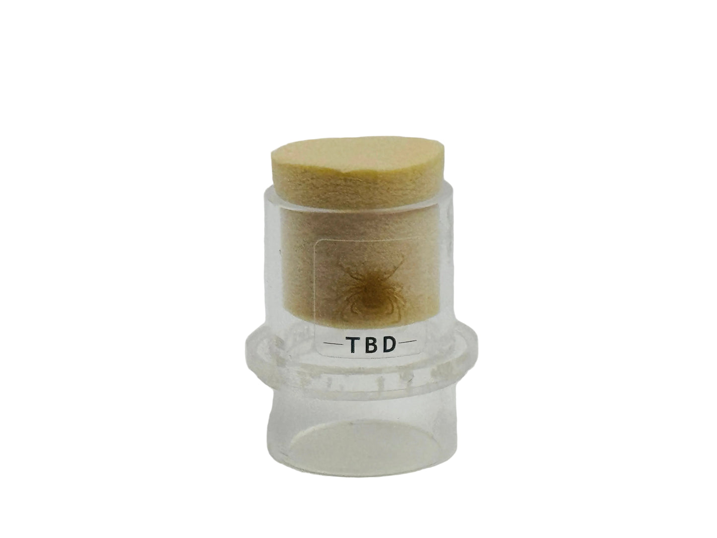 TicksDown6: in vitro tick feeding bioassay | 6-Well Batch