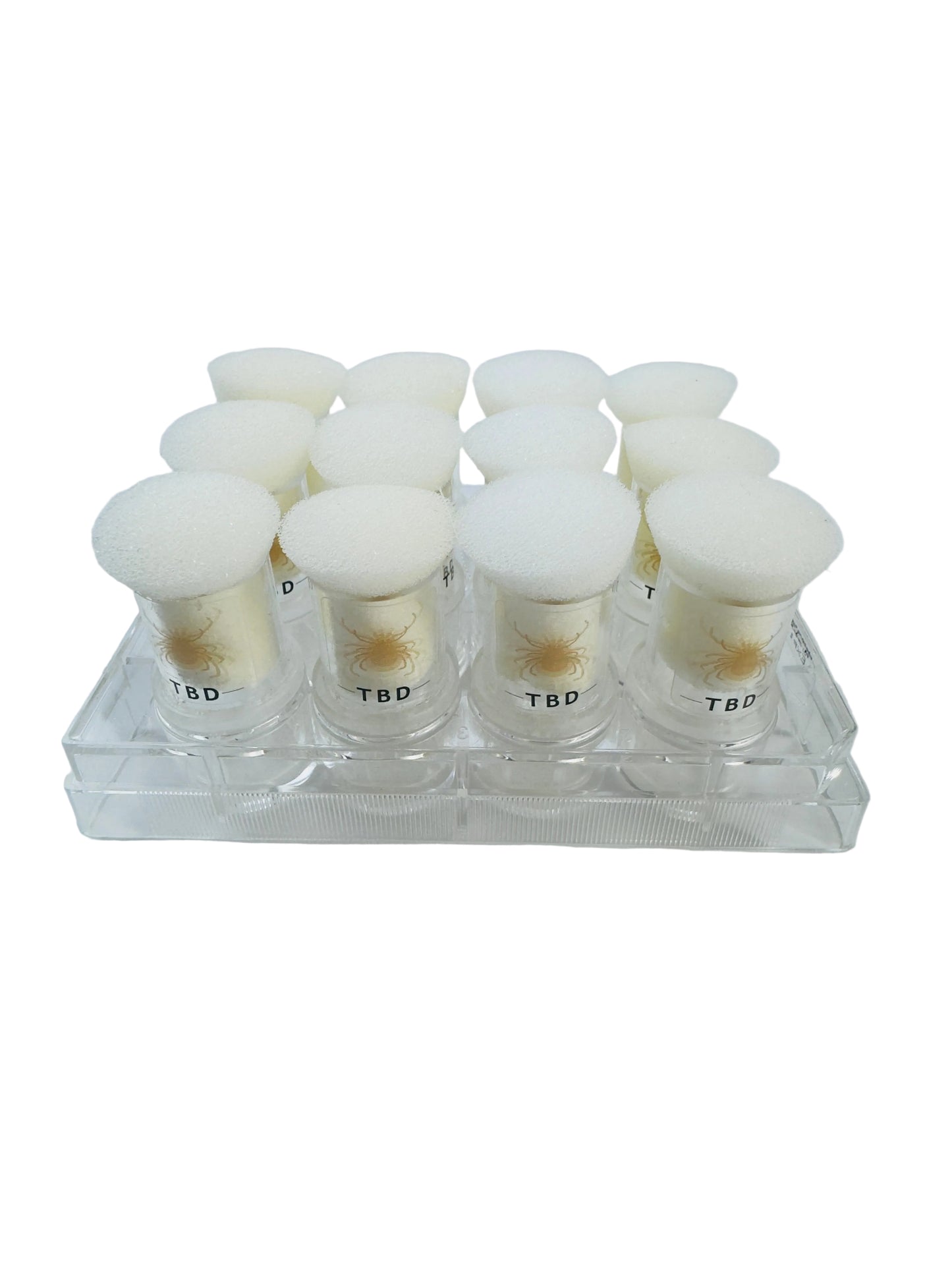 TicksDown12: in vitro tick feeding bioassay| 12-Well Batch