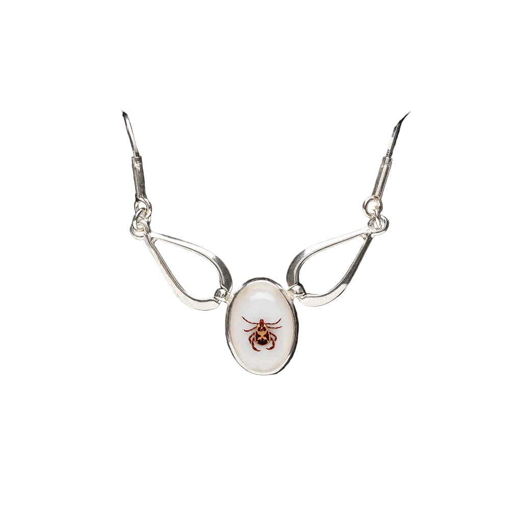 Silver necklace with a real tick