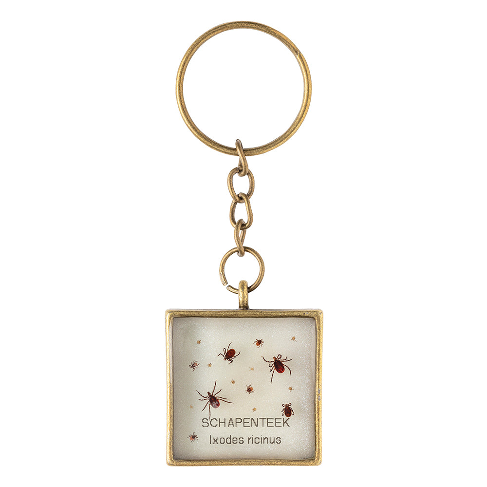 Keychain with real Ixodes ricinus ticks