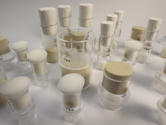 In vitro feeding of ticks