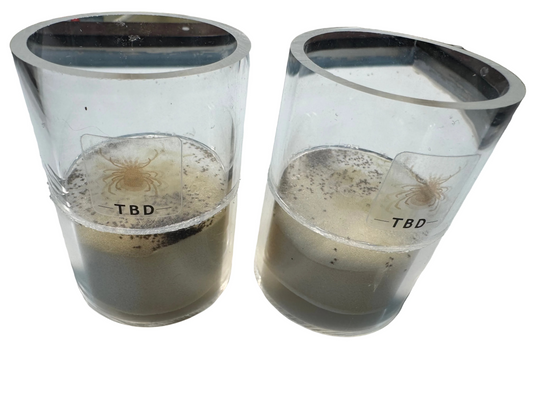 TicksUpXL: in vitro tick feeding device| 6-Test Batch