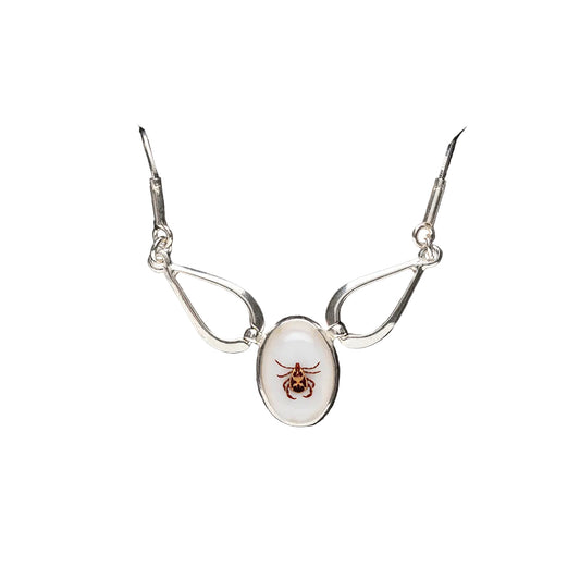 Silver necklace with a real tick