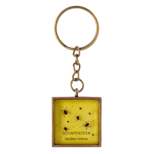 Keychain with real Ixodes ricinus ticks