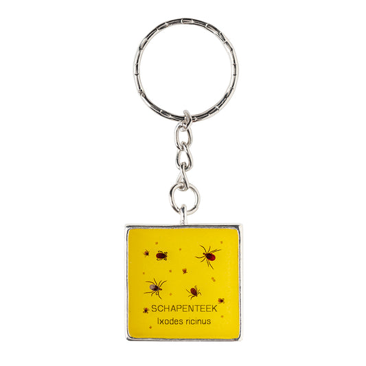 Keychain with real Ixodes ricinus ticks