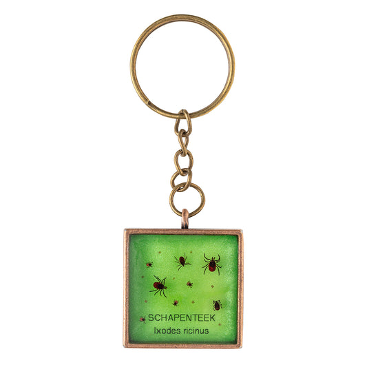 Keychain with real Ixodes ricinus ticks