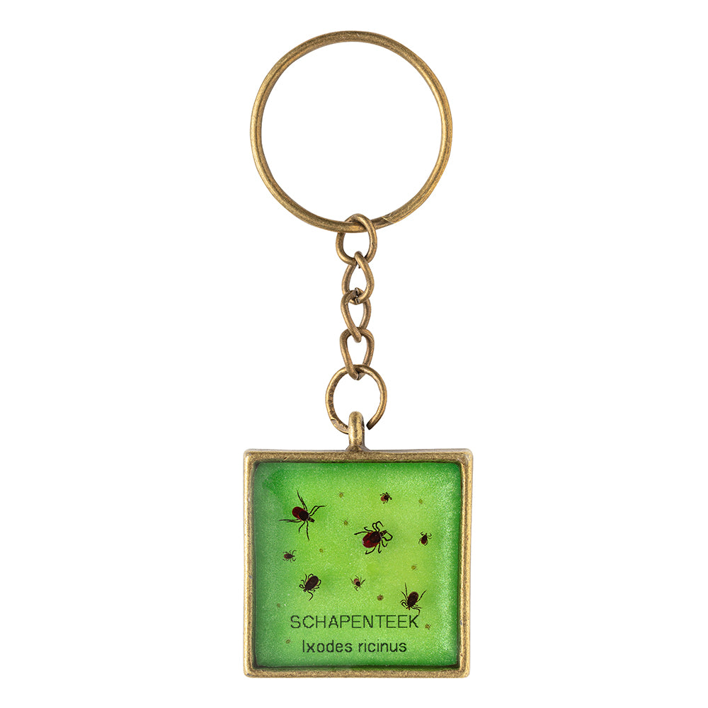 Keychain with real Ixodes ricinus ticks