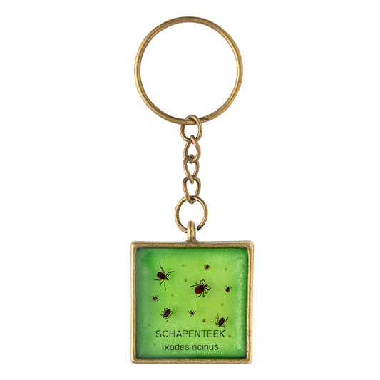 Keychain with real Ixodes ricinus ticks
