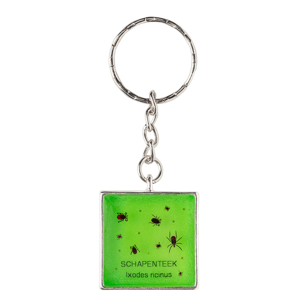Keychain with real Ixodes ricinus ticks