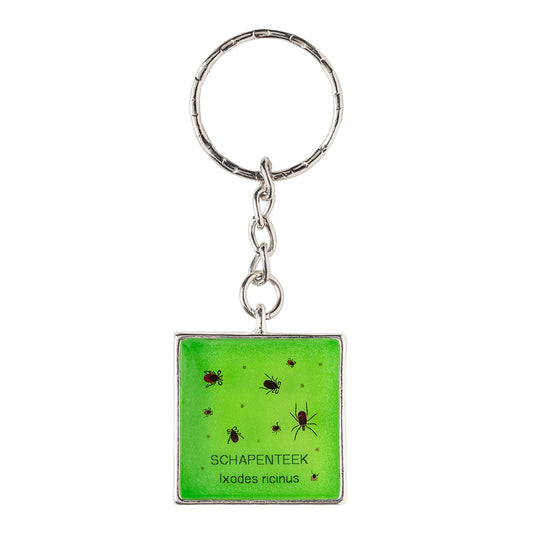 Keychain with real Ixodes ricinus ticks