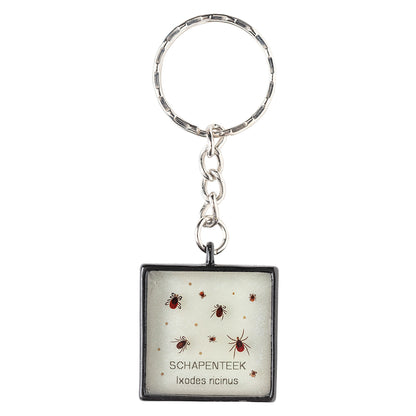 Keychain with real Ixodes ricinus ticks
