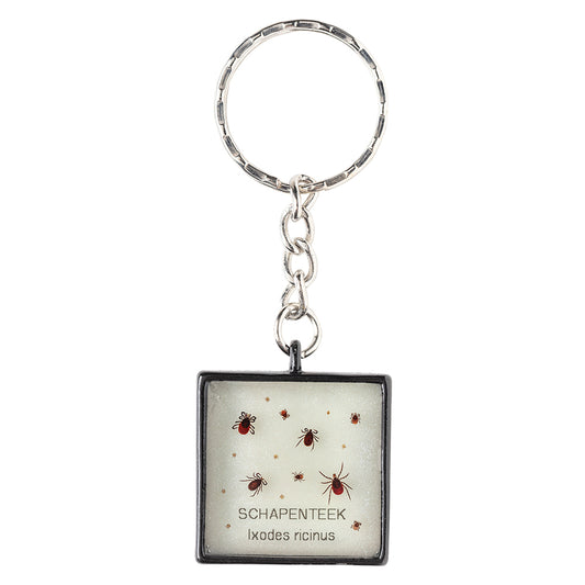 Keychain with real Ixodes ricinus ticks