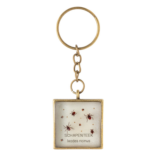 Keychain with real Ixodes ricinus ticks